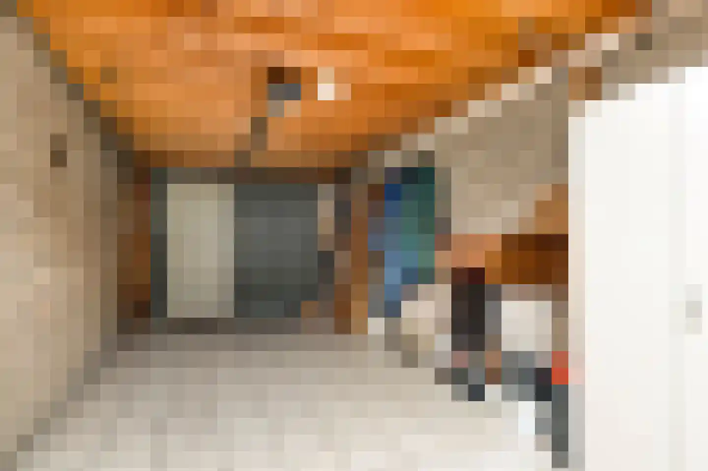 Burg. van Udenstraat 14 Nederweert thumbnail 29