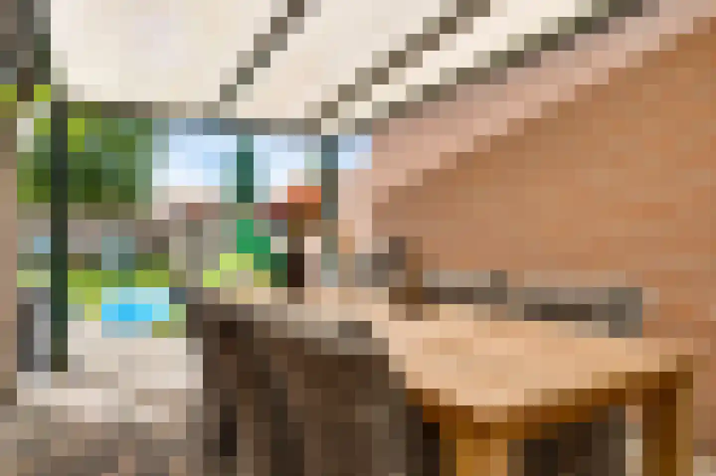 Burg. van Udenstraat 22 Nederweert thumbnail 18