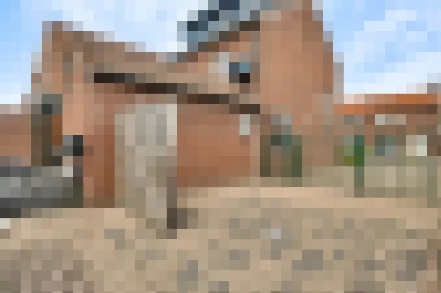 Burg. van Udenstraat 22 Nederweert thumbnail 22