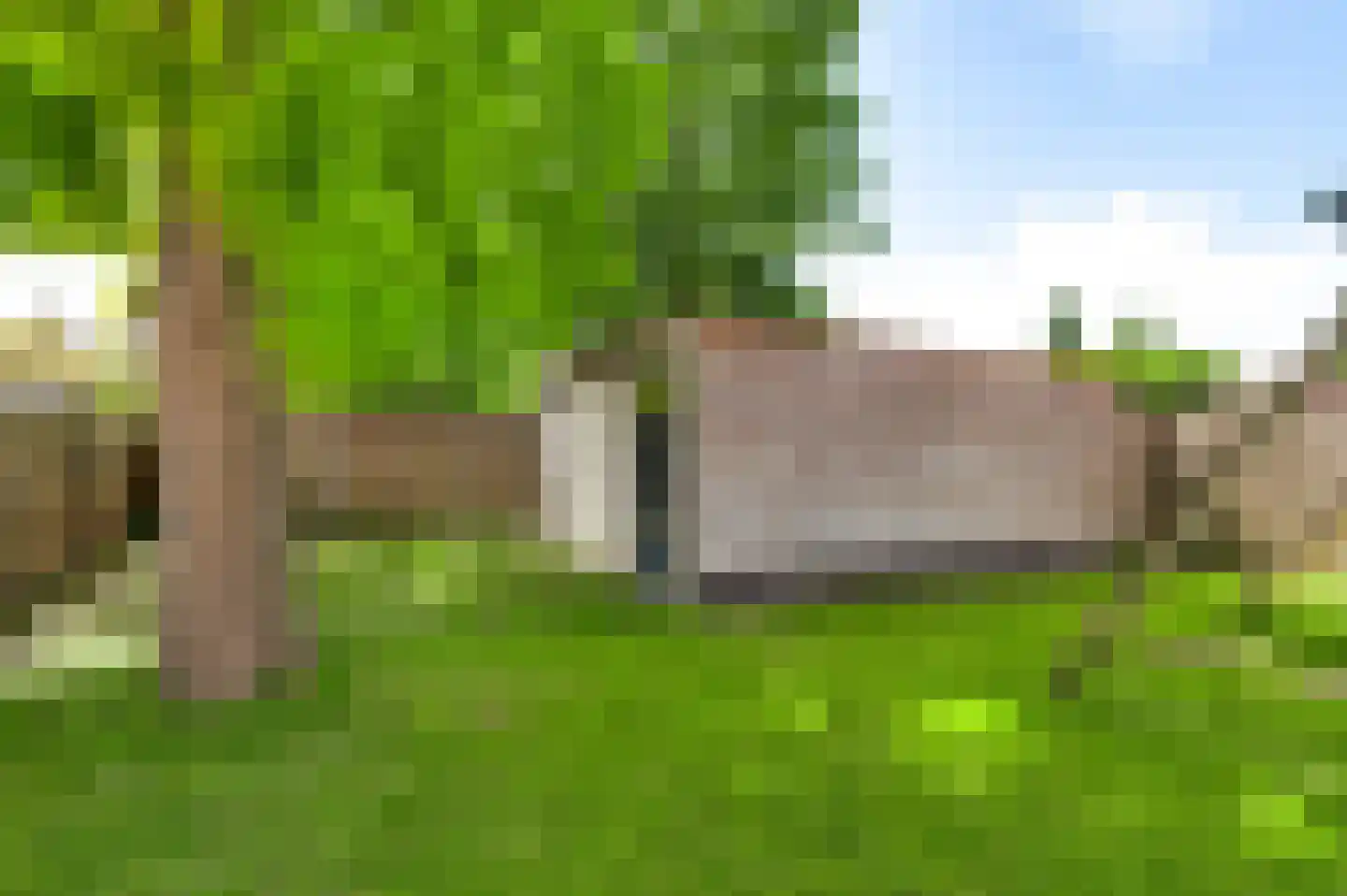 Burg. van Udenstraat 22 Nederweert thumbnail 26