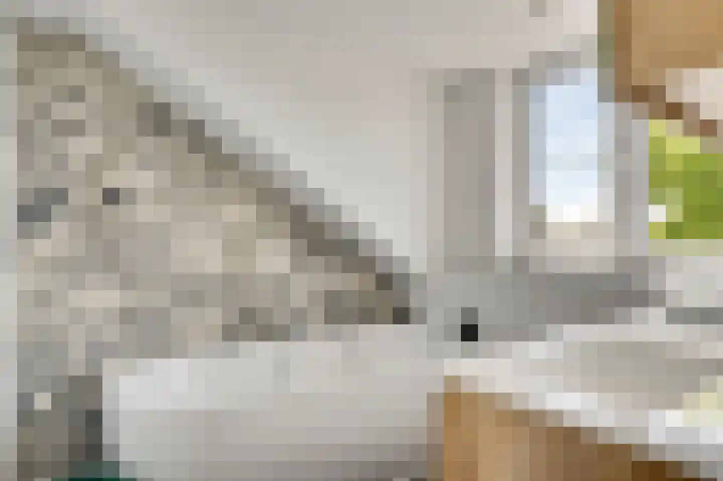 Burg. van Udenstraat 22 Nederweert thumbnail 40