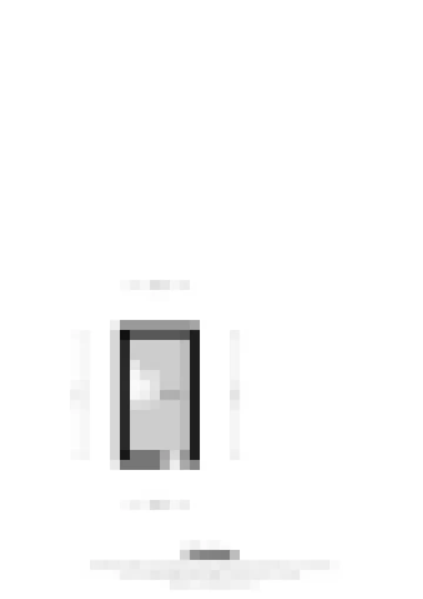 Burg. van Udenstraat 22 Nederweert thumbnail 48