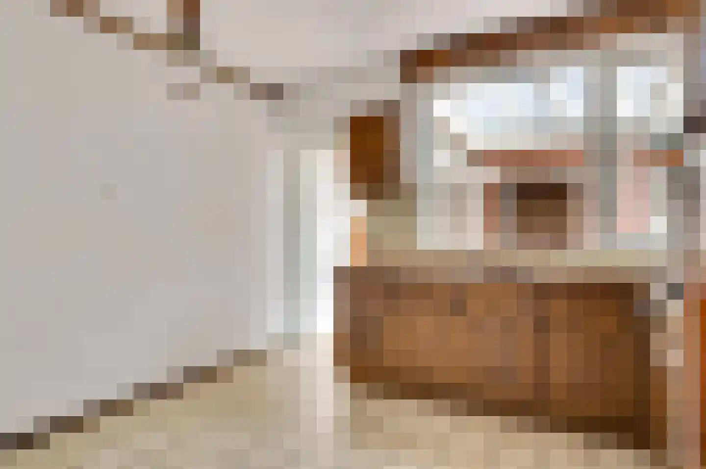 Burg. van Udenstraat 3 B Nederweert thumbnail 10