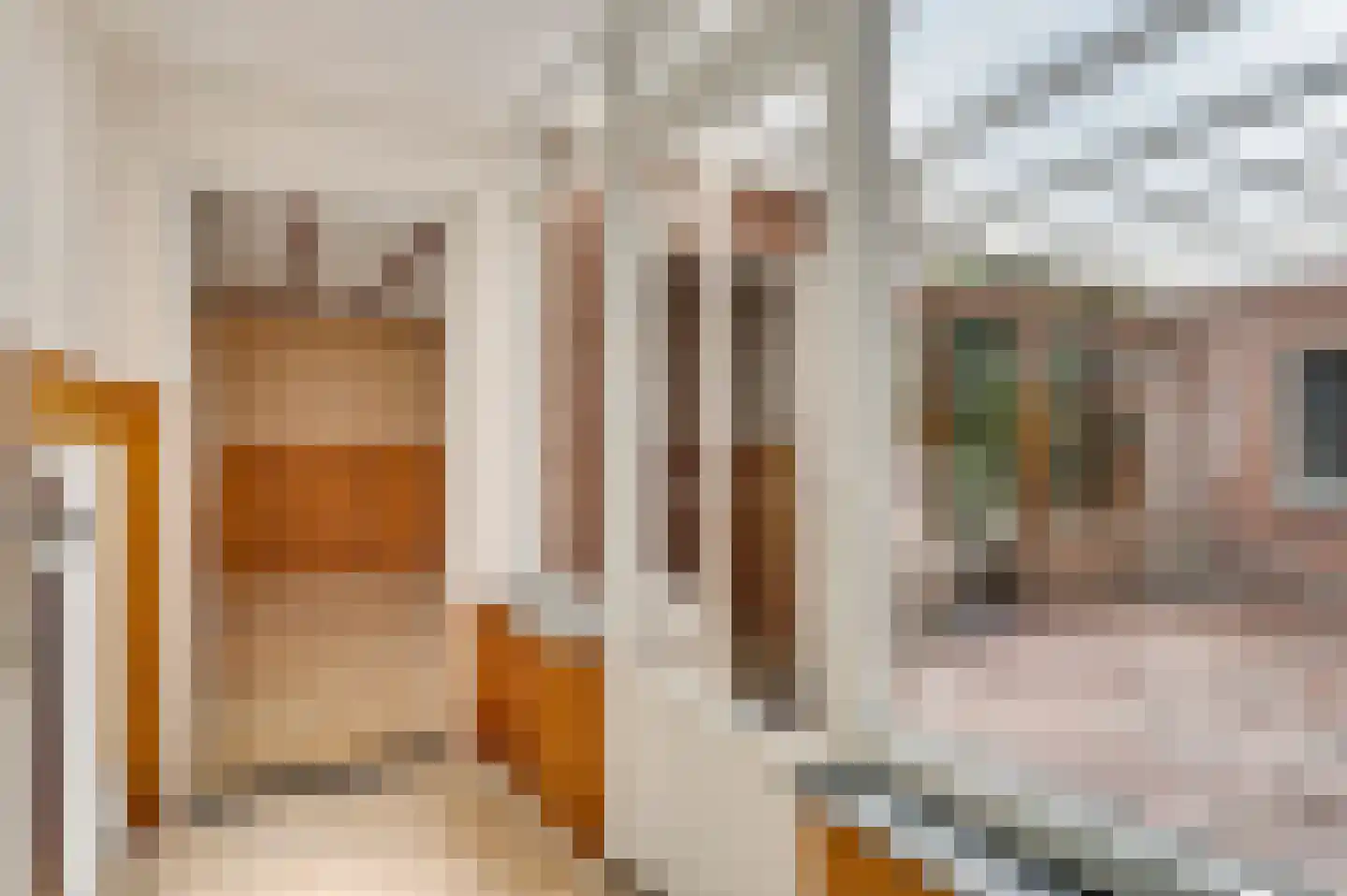 Burg. van Udenstraat 3 B Nederweert thumbnail 19