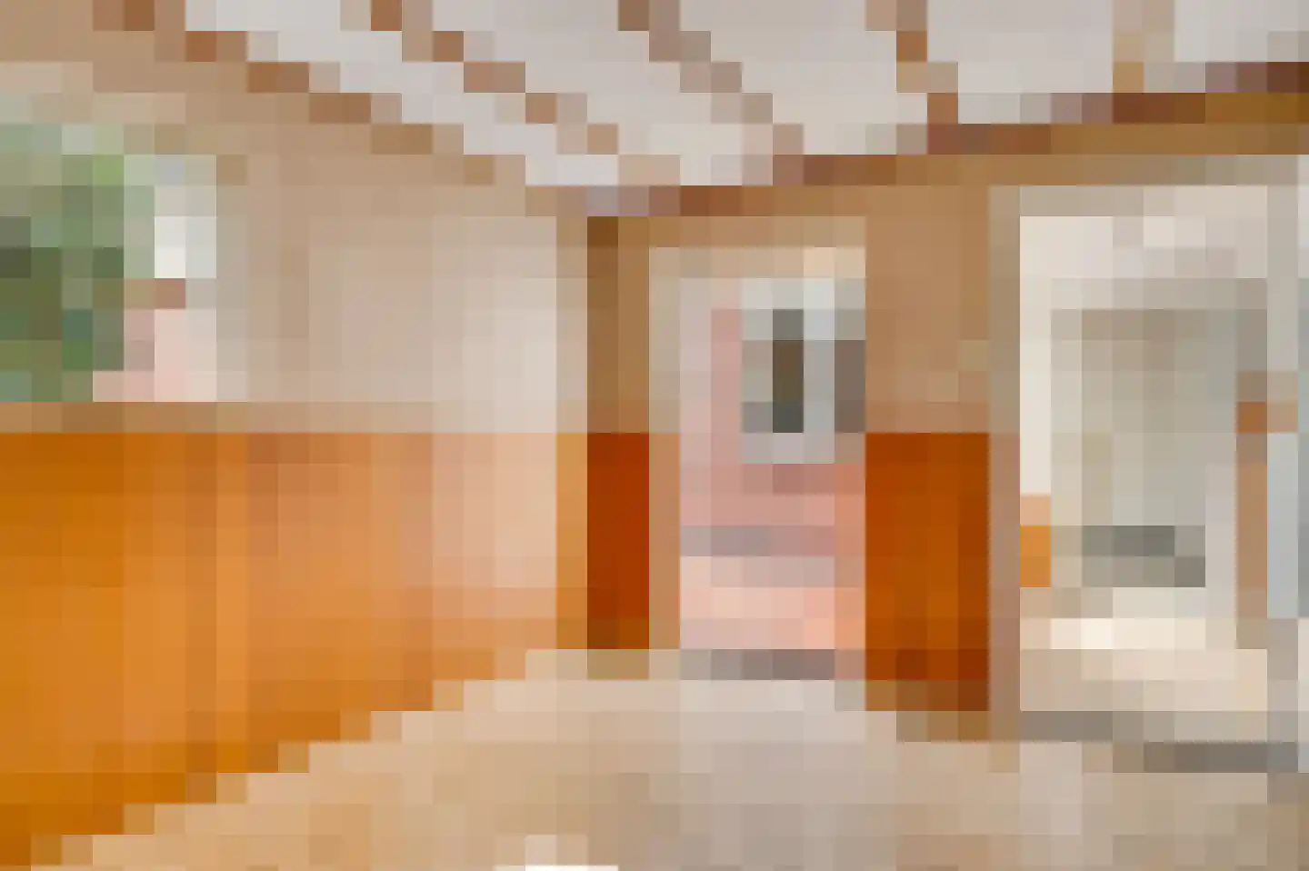 Burg. van Udenstraat 3 B Nederweert thumbnail 20