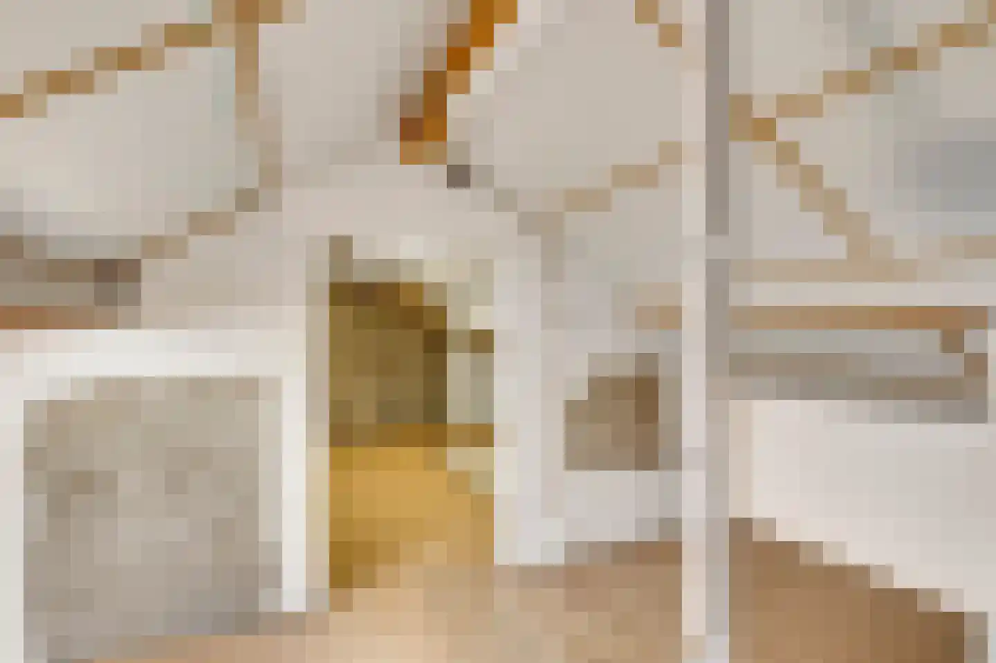 Burg. van Udenstraat 3 B Nederweert thumbnail 31
