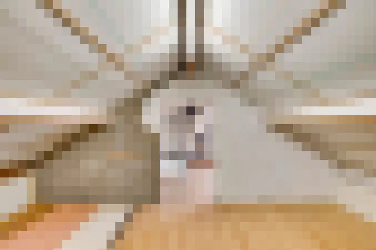 Burg. van Udenstraat 3 B Nederweert thumbnail 32