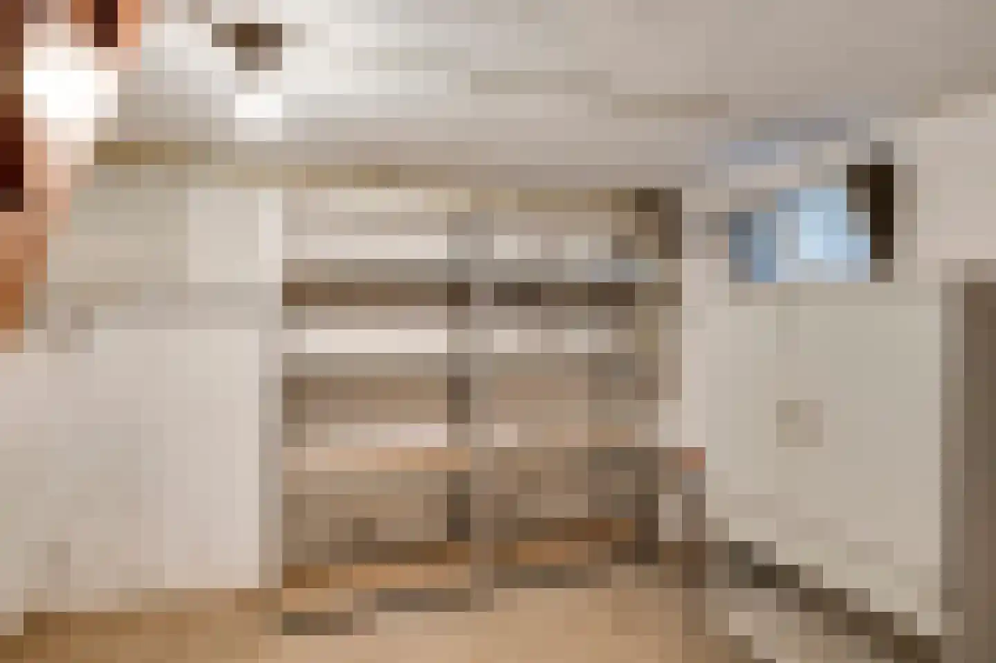 Burg. van Udenstraat 3 B Nederweert thumbnail 33