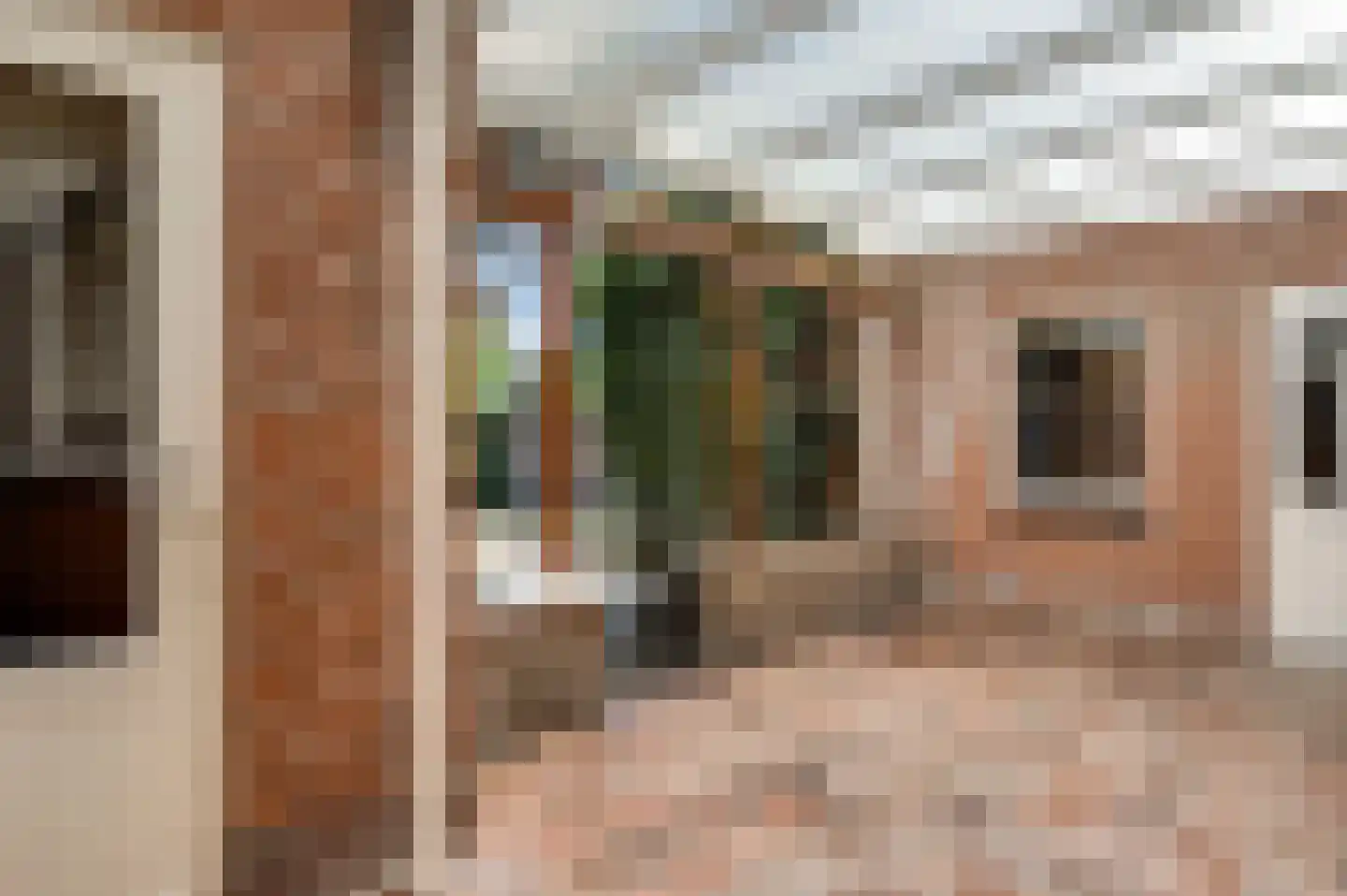 Burg. van Udenstraat 3 B Nederweert thumbnail 36