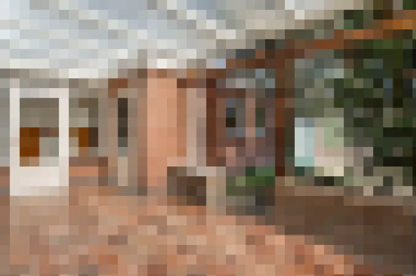 Burg. van Udenstraat 3 B Nederweert thumbnail 37