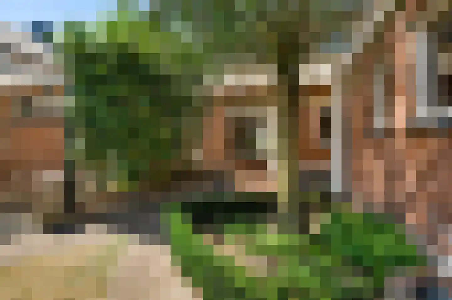 Burg. van Udenstraat 3 B Nederweert thumbnail 40