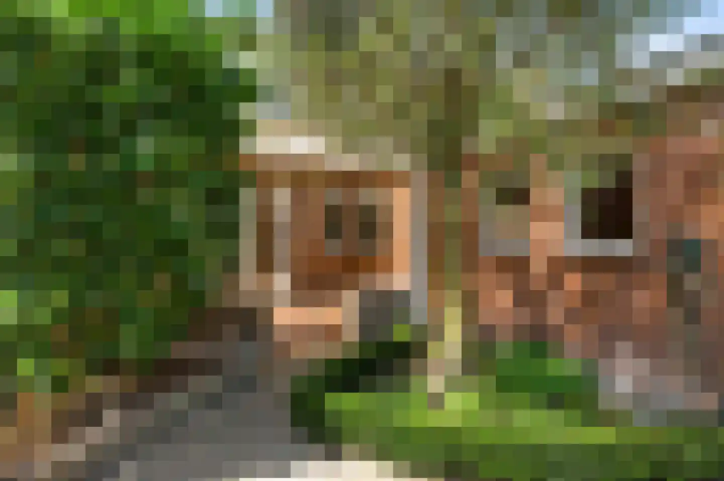 Burg. van Udenstraat 3 B Nederweert thumbnail 41