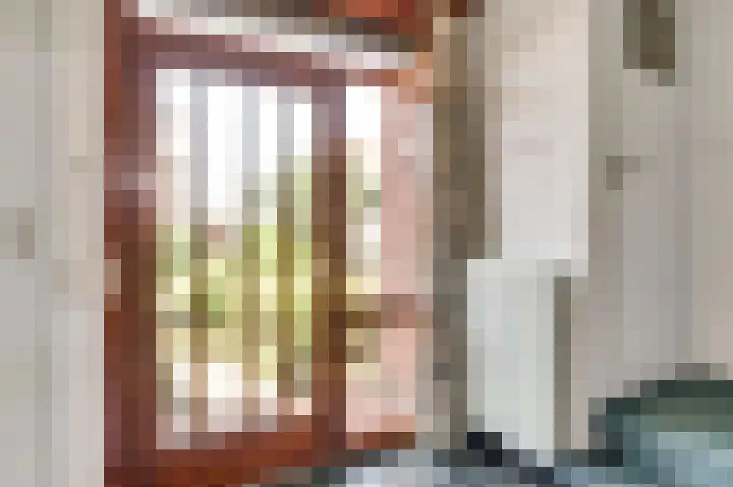Burg. van Udenstraat 3 B Nederweert thumbnail 5