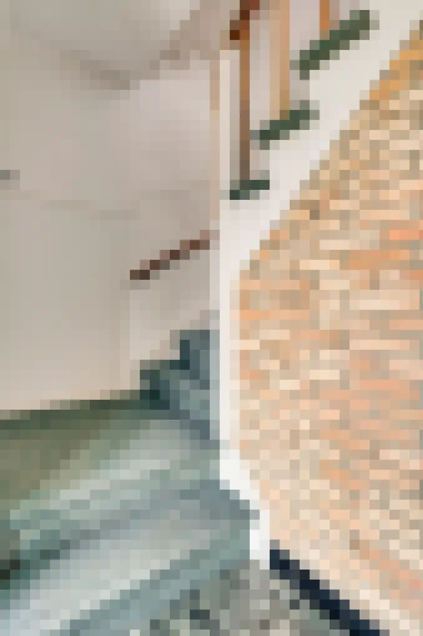 Burg. van Udenstraat 3 B Nederweert thumbnail 7