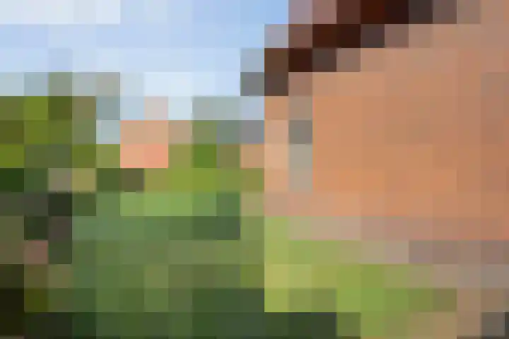 Burg. van Veenlaan 29 Nijeveen thumbnail 34