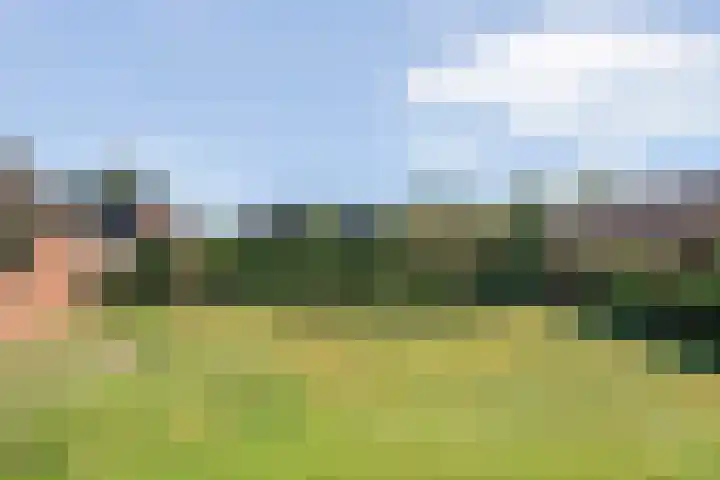 Burg. van Veenlaan 29 Nijeveen thumbnail 38