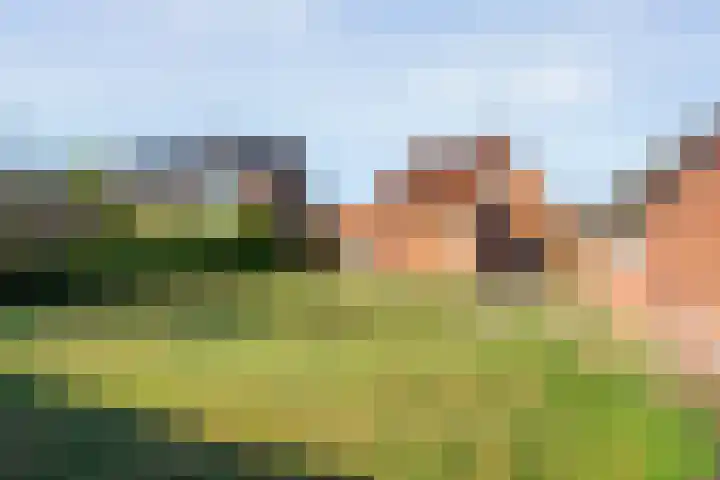 Burg. van Veenlaan 29 Nijeveen thumbnail 4