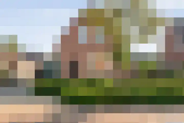Burg. van Veenlaan 29 Nijeveen thumbnail 42