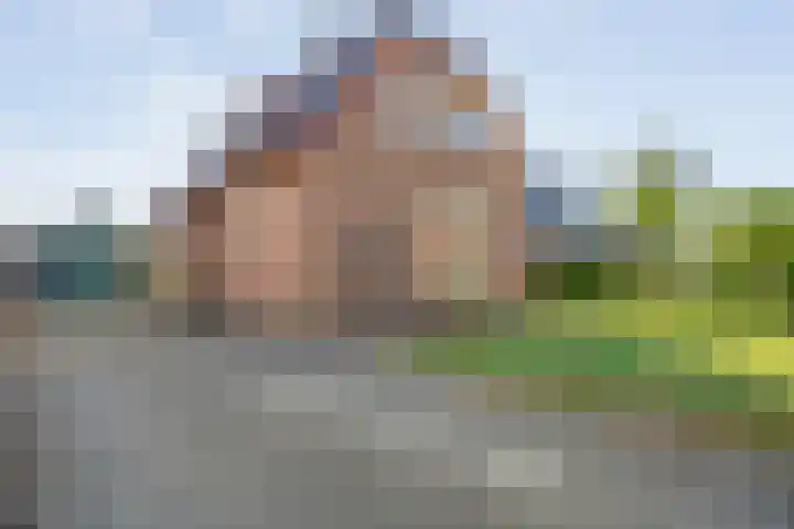 Burg. van Veenlaan 29 Nijeveen thumbnail 44