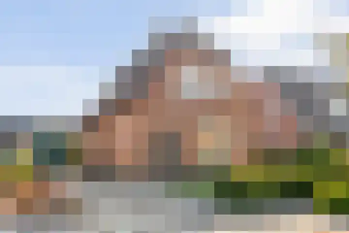 Burg. van Veenlaan 29 Nijeveen thumbnail 45