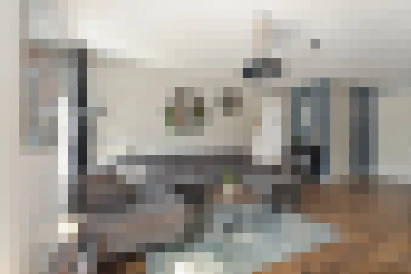 Burg vd Mortelstraat 10 Cuijk thumbnail 10