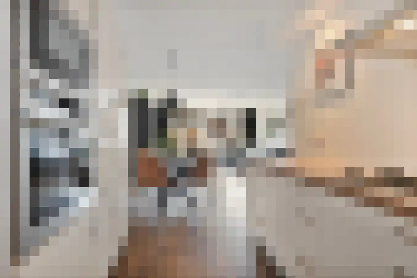 Burg vd Mortelstraat 10 Cuijk thumbnail 12