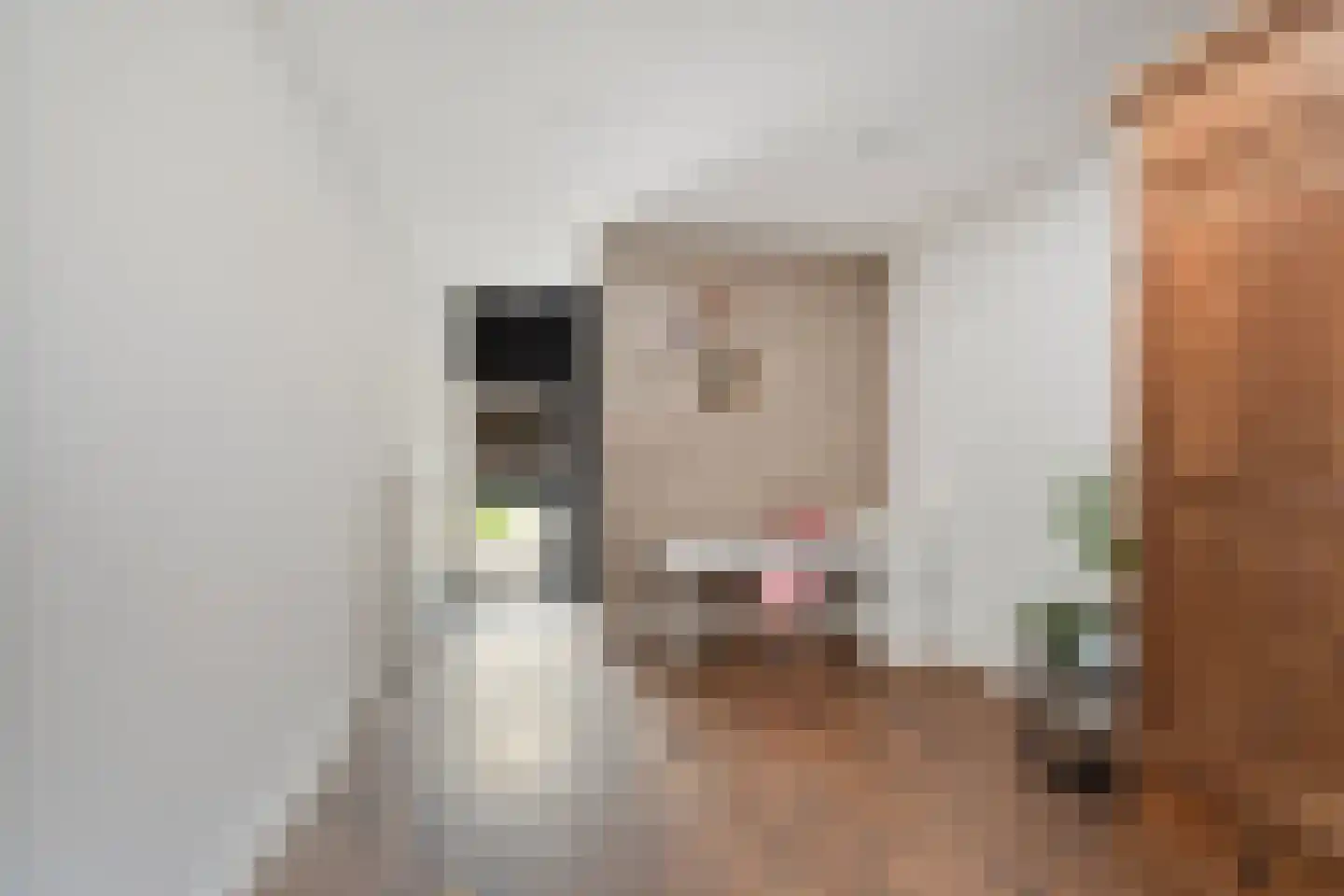 Burg vd Mortelstraat 10 Cuijk thumbnail 13