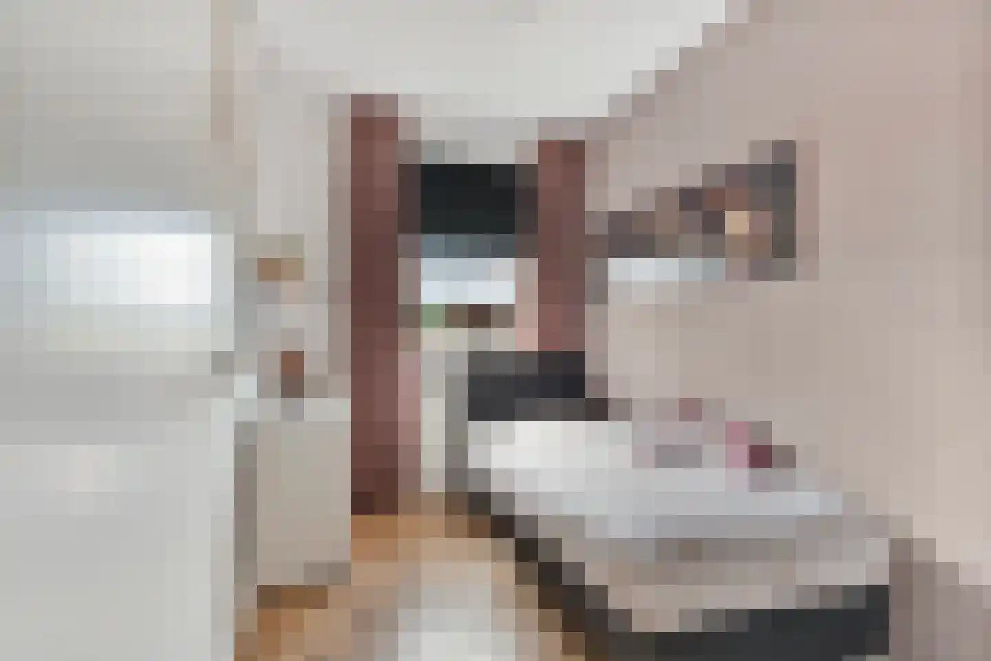 Burg vd Mortelstraat 10 Cuijk thumbnail 17