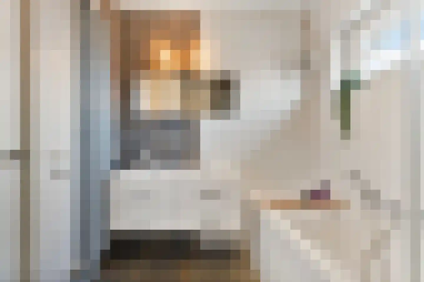 Burg vd Mortelstraat 10 Cuijk thumbnail 19