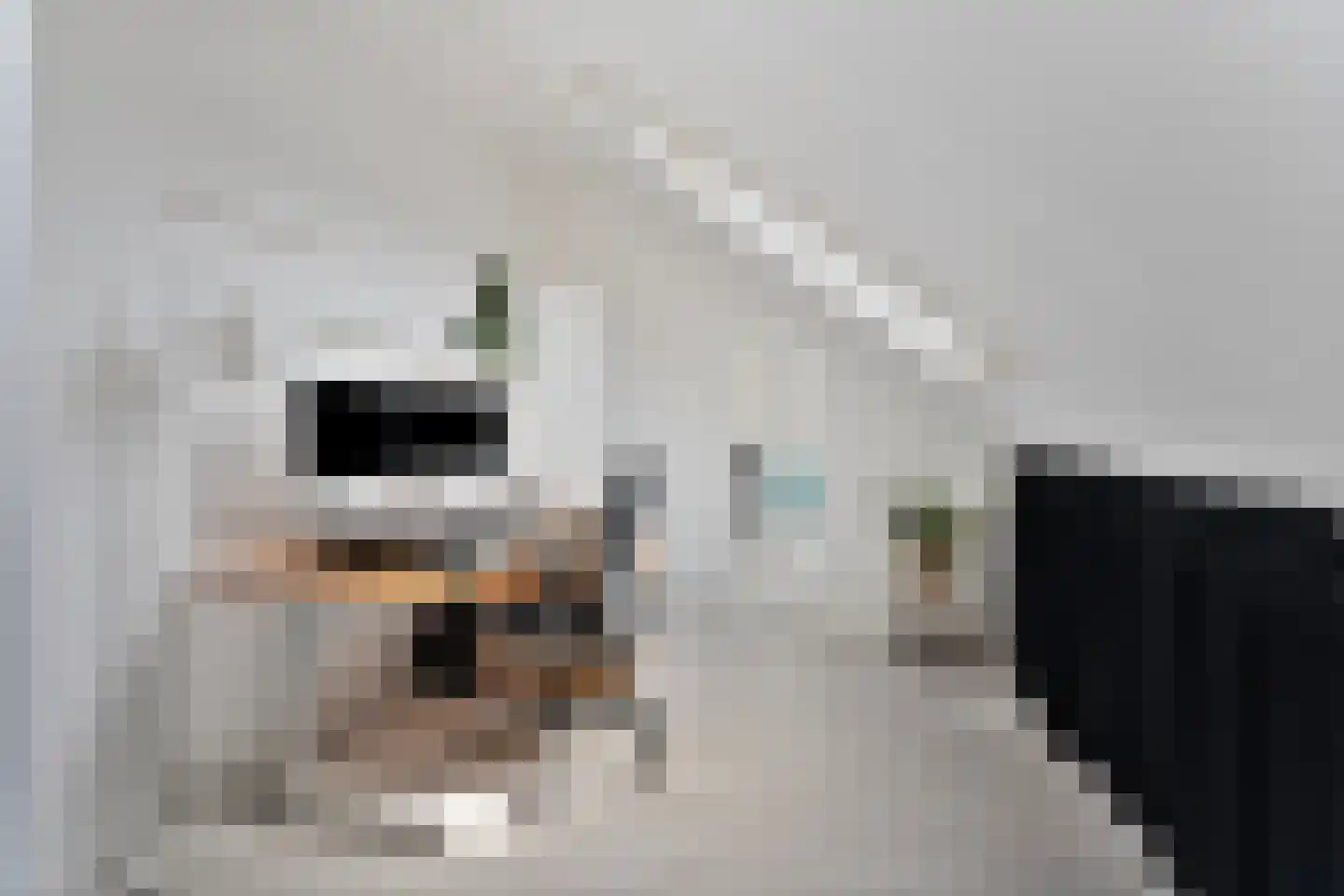 Burg vd Mortelstraat 10 Cuijk thumbnail 21