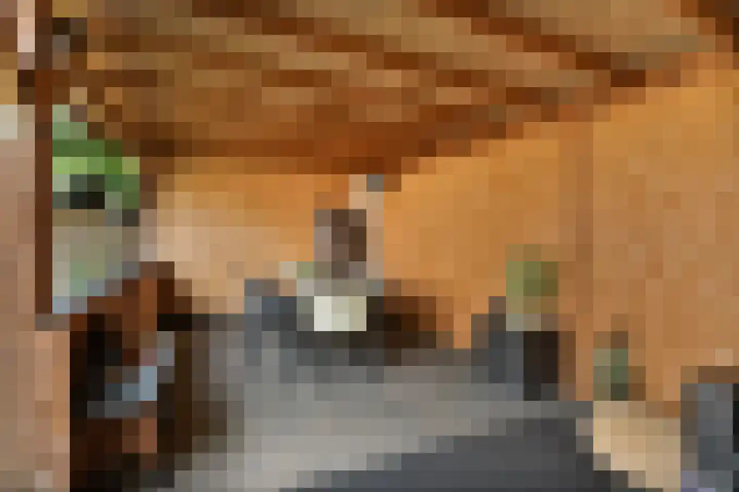 Burg vd Mortelstraat 10 Cuijk thumbnail 27