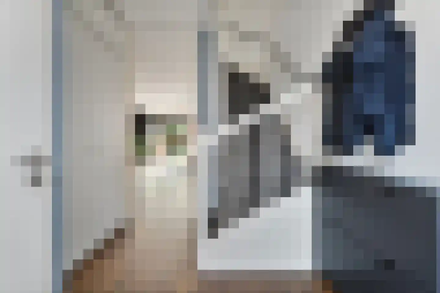 Burg vd Mortelstraat 10 Cuijk thumbnail 6