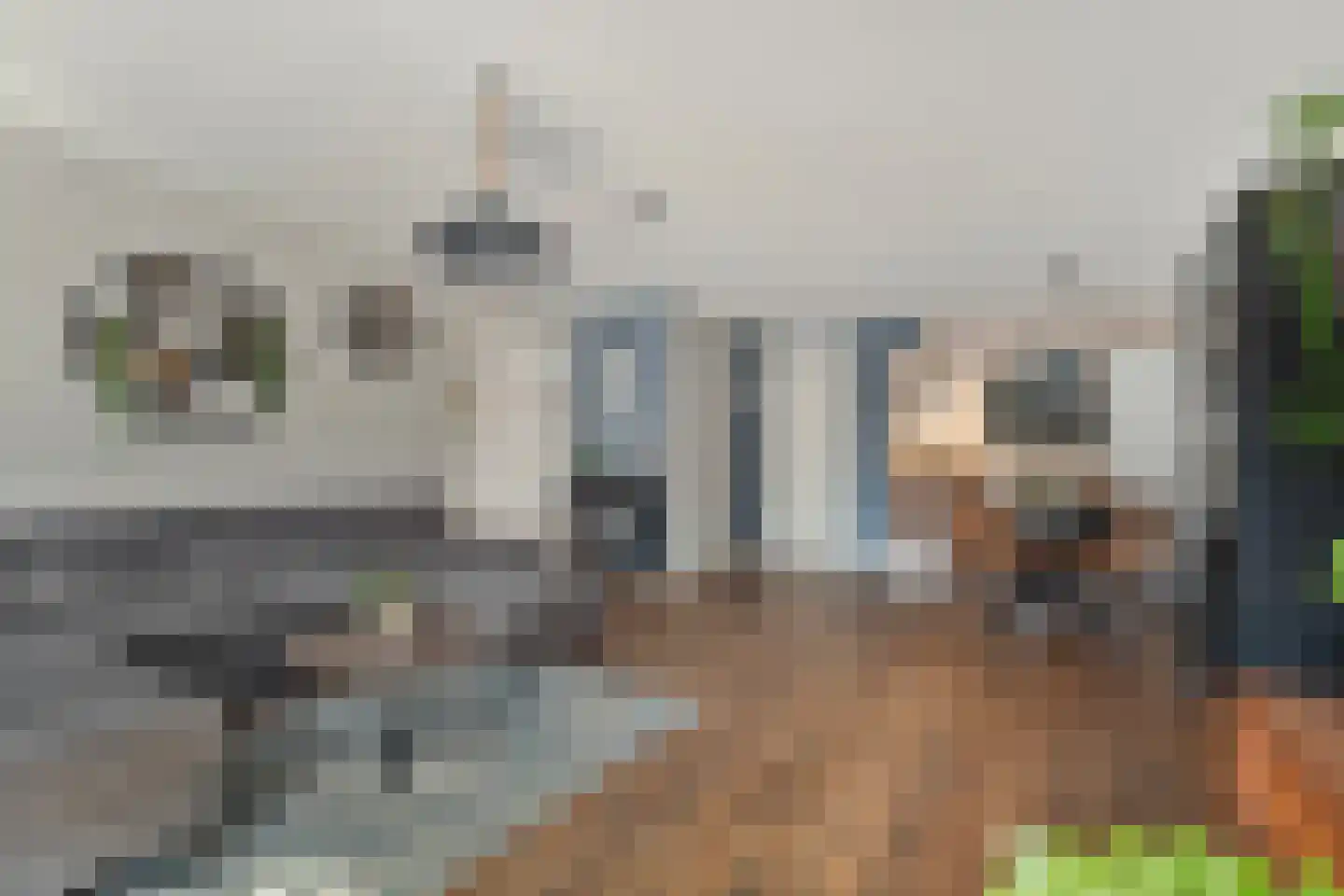 Burg vd Mortelstraat 10 Cuijk thumbnail 9
