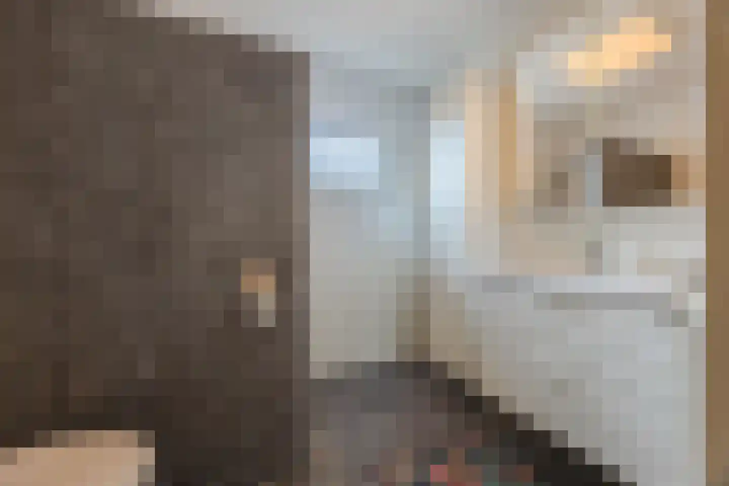 Burg vd Mortelstraat 16 Cuijk thumbnail 15