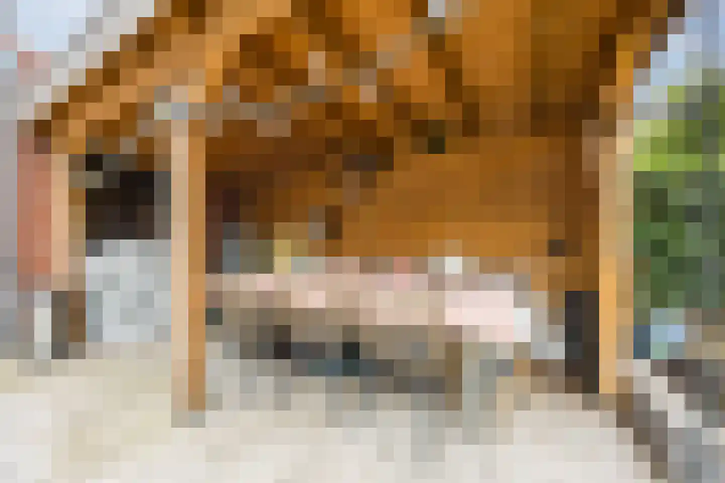 Burg vd Mortelstraat 16 Cuijk thumbnail 22