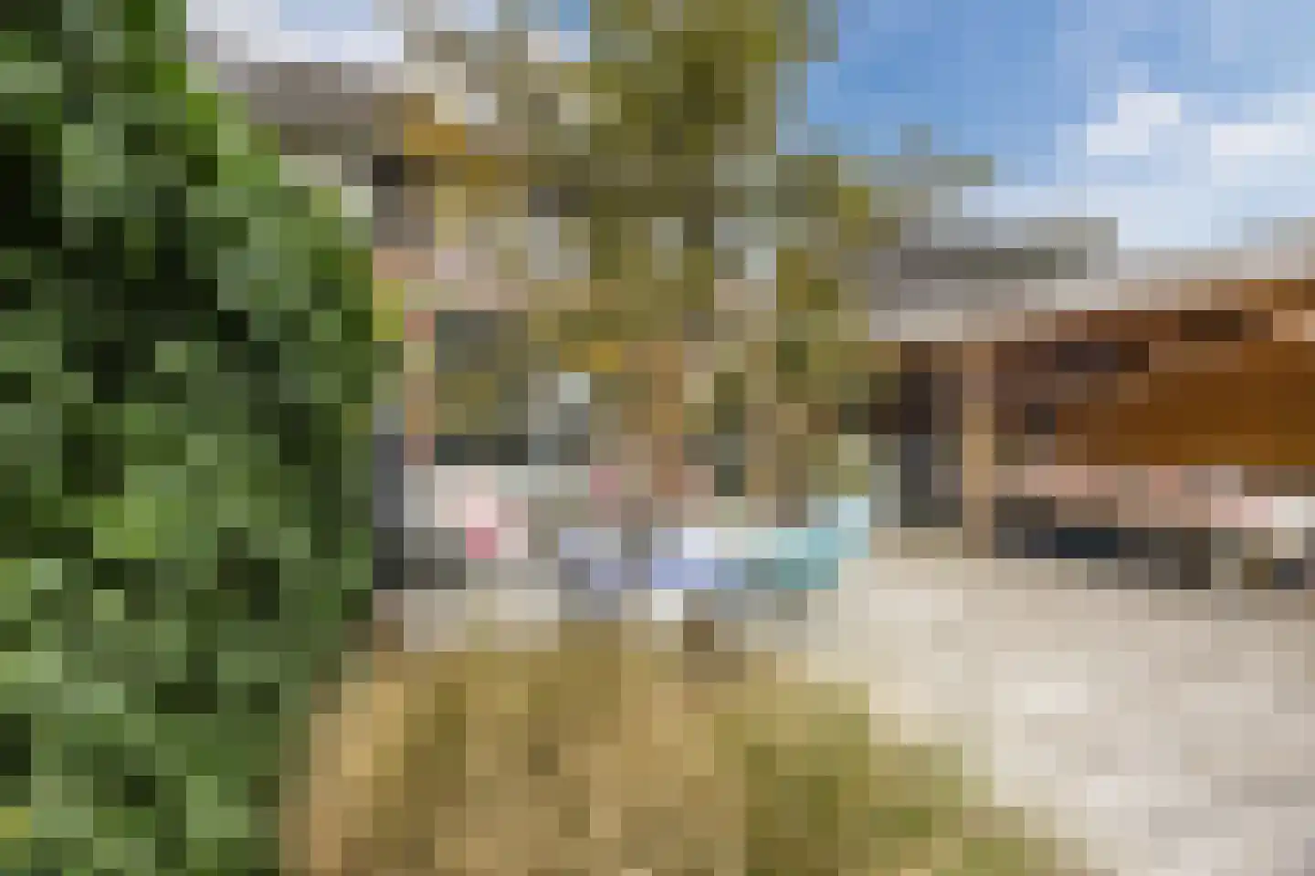 Burg vd Mortelstraat 16 Cuijk thumbnail 26