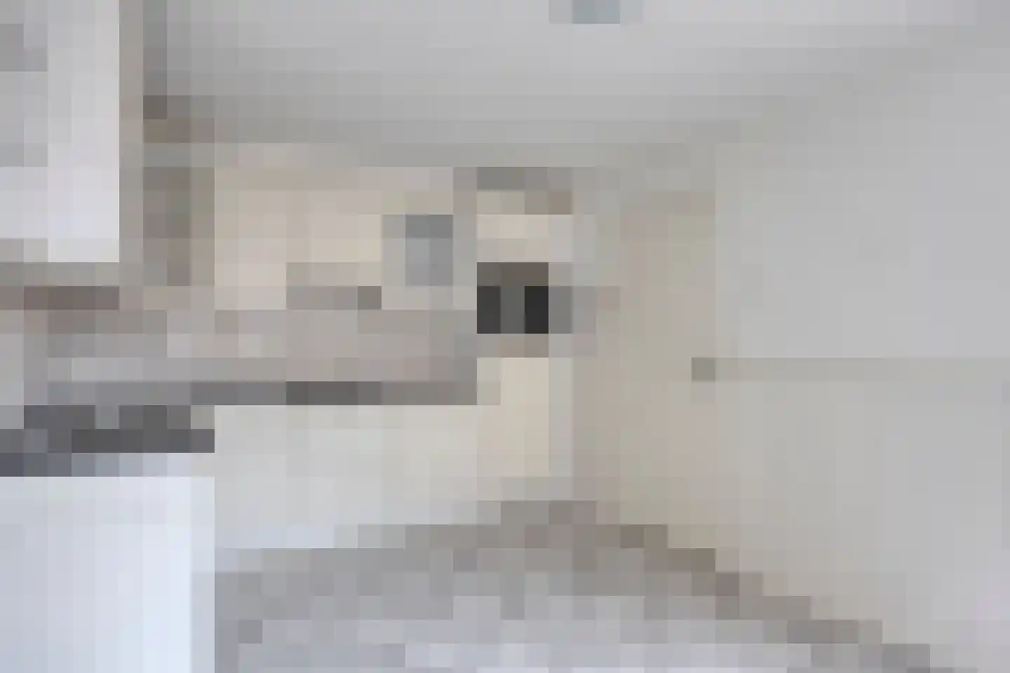 Burg vd Mortelstraat 9 Cuijk thumbnail 16