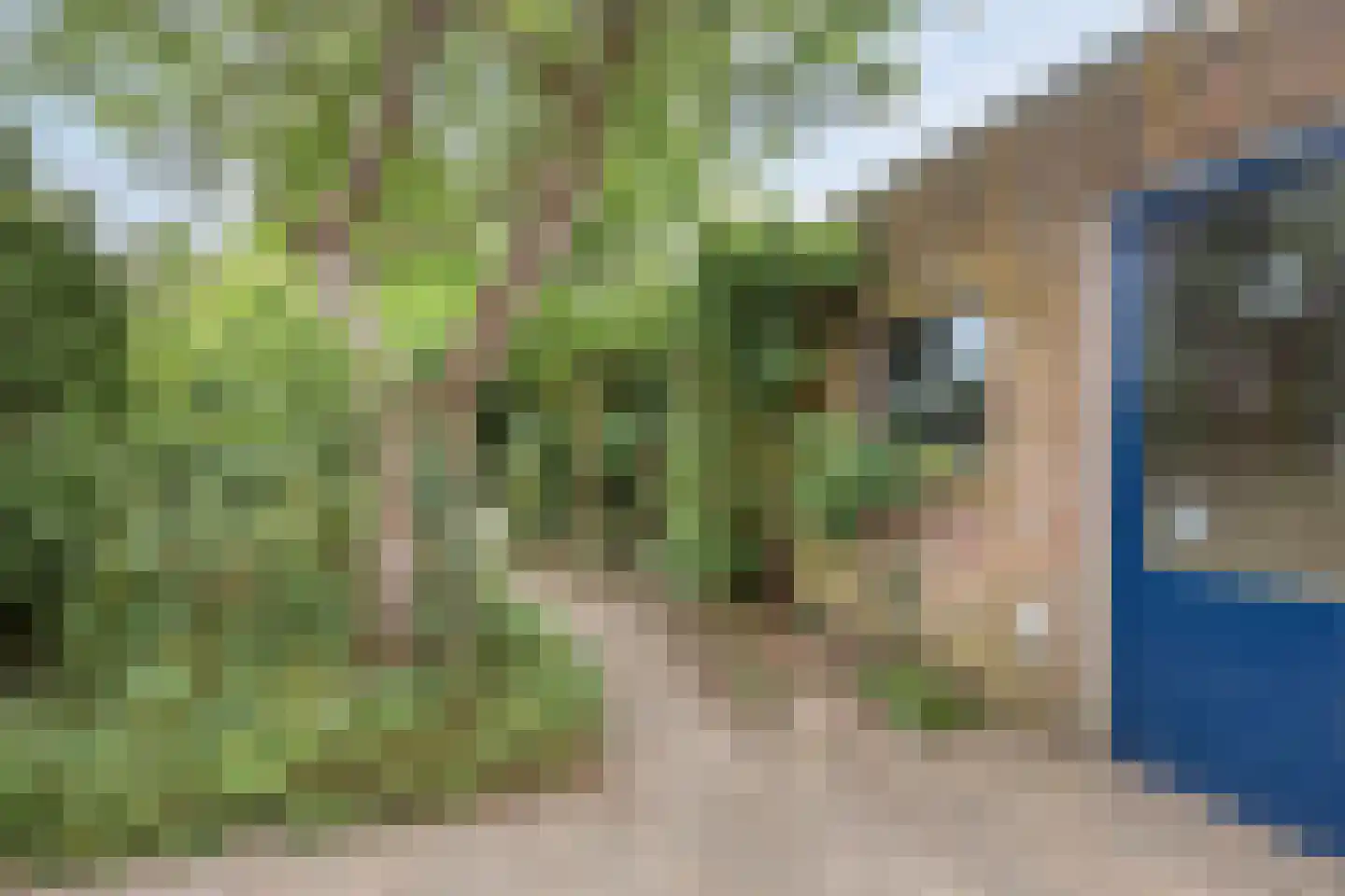 Burg vd Mortelstraat 9 Cuijk thumbnail 32