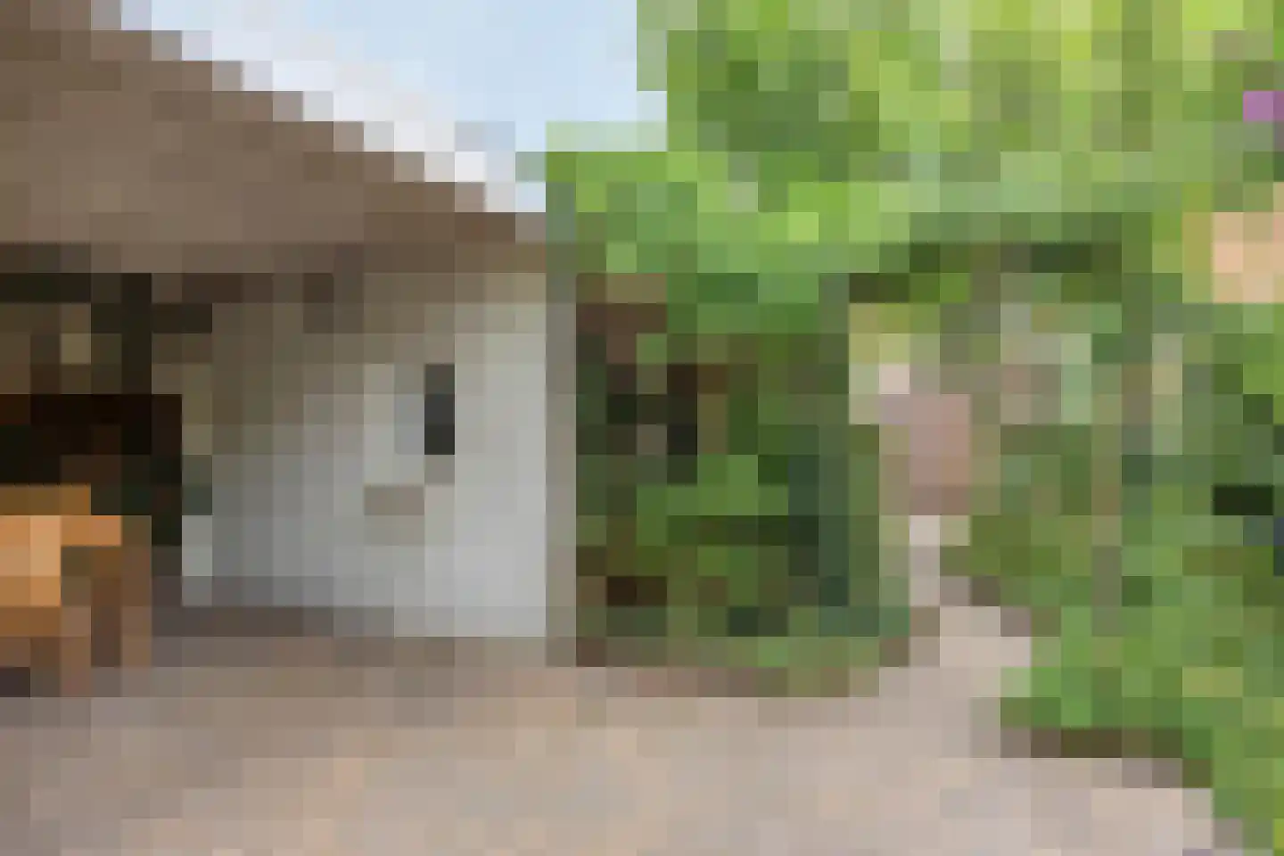 Burg vd Mortelstraat 9 Cuijk thumbnail 35