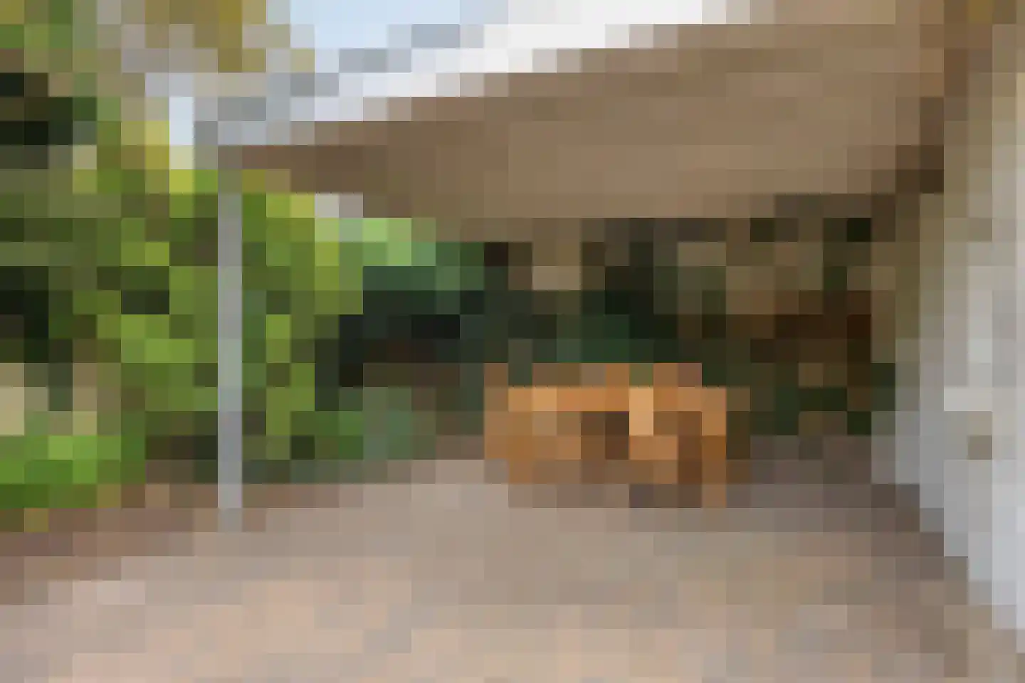 Burg vd Mortelstraat 9 Cuijk thumbnail 4