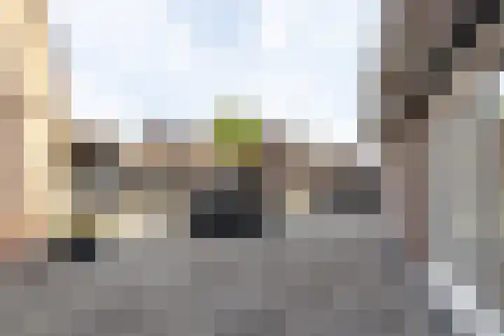 Burg. Venckenstraat 9 Obbicht thumbnail 22