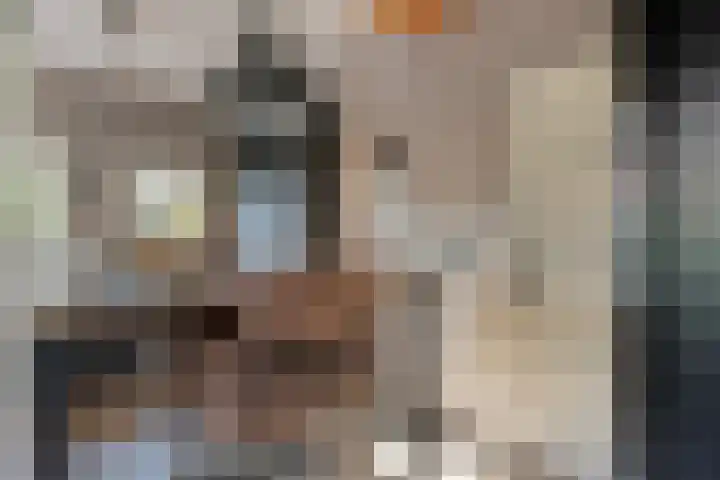 Burg. Verplankeplein 12 Biervliet thumbnail 13