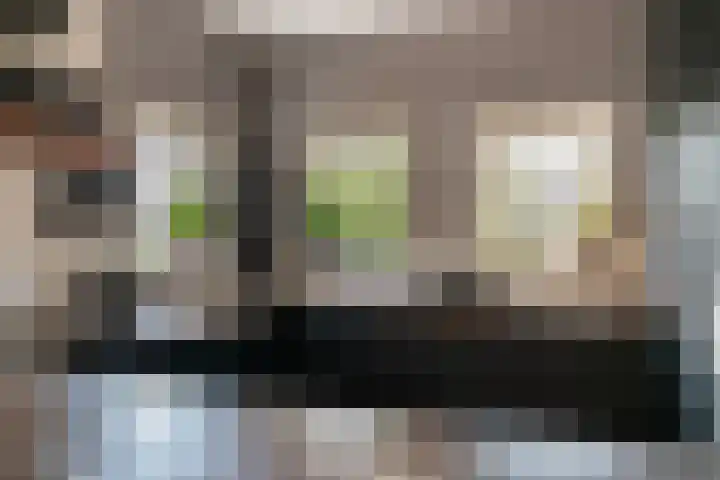 Burg. Verplankeplein 12 Biervliet thumbnail 14