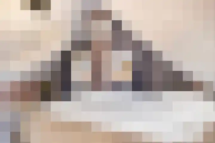 Burg. Verplankeplein 12 Biervliet thumbnail 18