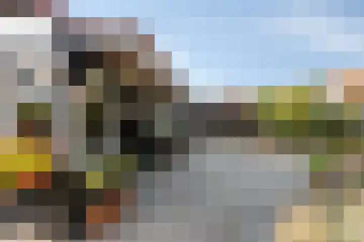 Burg. Verplankeplein 12 Biervliet thumbnail 22