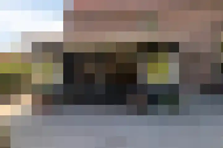 Burg. Verplankeplein 12 Biervliet thumbnail 23