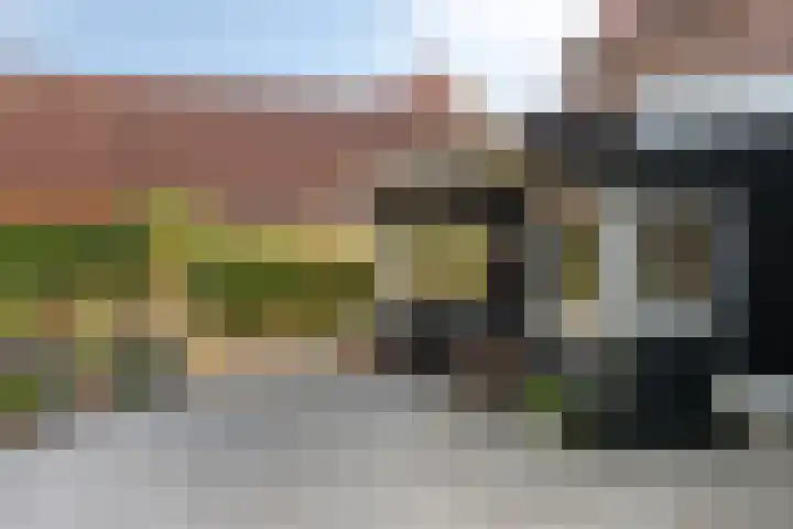 Burg. Verplankeplein 12 Biervliet thumbnail 24