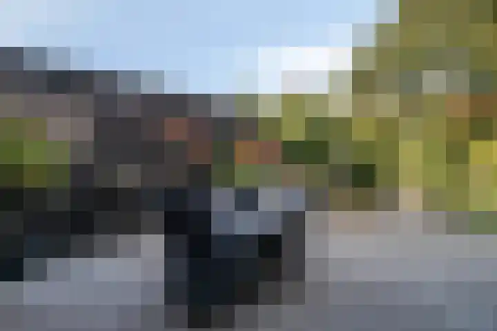 Burg. Verplankeplein 12 Biervliet thumbnail 25