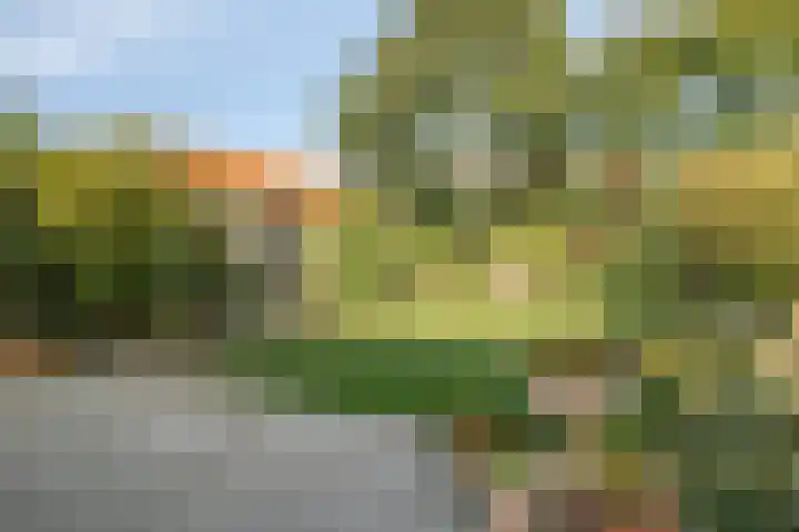Burg. Verplankeplein 12 Biervliet thumbnail 26