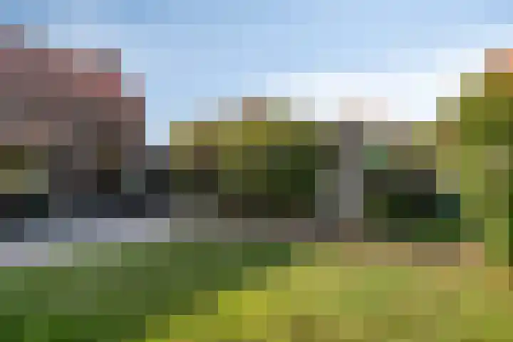 Burg. Verplankeplein 12 Biervliet thumbnail 27